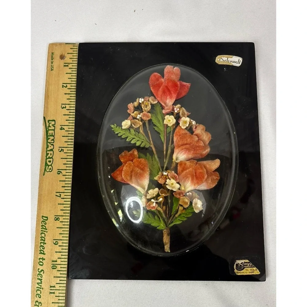 Bubble Convex Frame Vintage Preserved Dried Flowers Arrangement